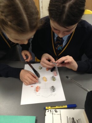 Article Thumbnail Image